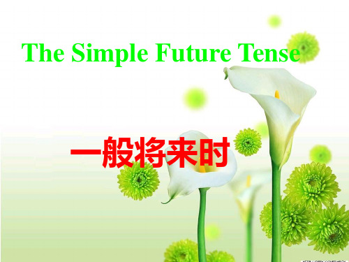 一般将来时be-going-to-与will的解析和练习