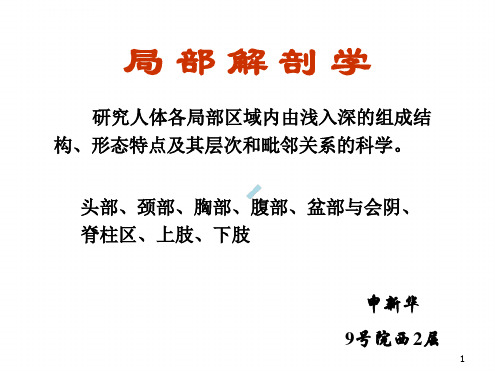 骨科解剖下肢局部解剖学课件