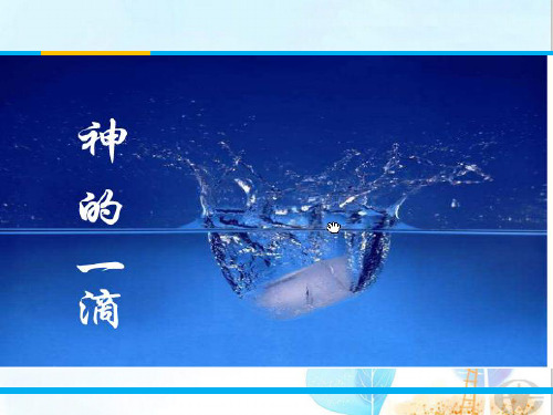 神的一滴ppt29 苏教版
