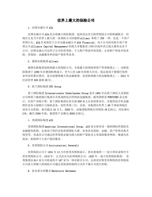 世界上最大的保险公司