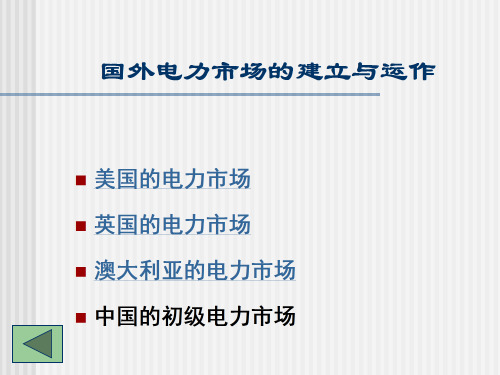电力市场讲义(国际电力市场)