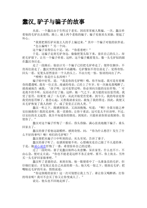 蠢汉与驴子的故事