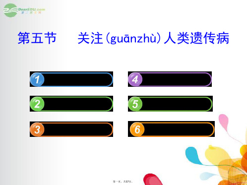 高中生物 2.4.5关注人类遗传病课件 苏教版必修2 