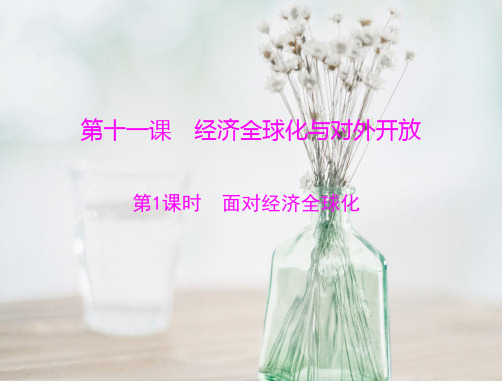 面对经济全球化PPT教学课件