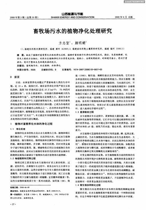 畜牧场污水的植物净化处理研究