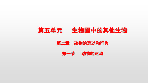 最新人教版八年级生物上册第五单元第二章动物的运动和行为PPT