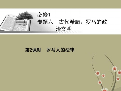 高考历史一轮总复习 罗马人的法律课件 人民版必修1课件 人民版必修1
