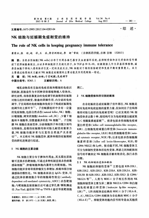 NK细胞与妊娠期免疫耐受的维持