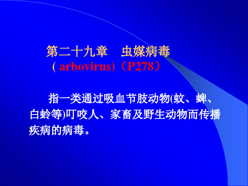 医学微生物学-虫媒、出血热病毒