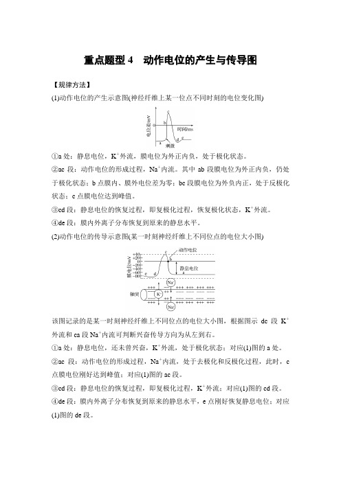 高三生物二轮专题复习重点题型4   动作电位的产生与传导图