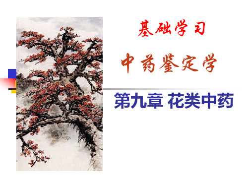 第九章 花类中药