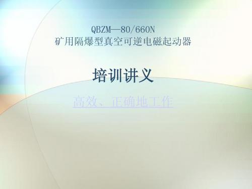 QBZM—80说明书