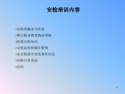 安检ppt课件