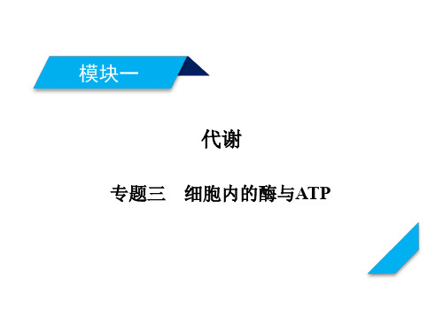高考生物二轮复习专题三细胞内的酶与ATP复习指导课件