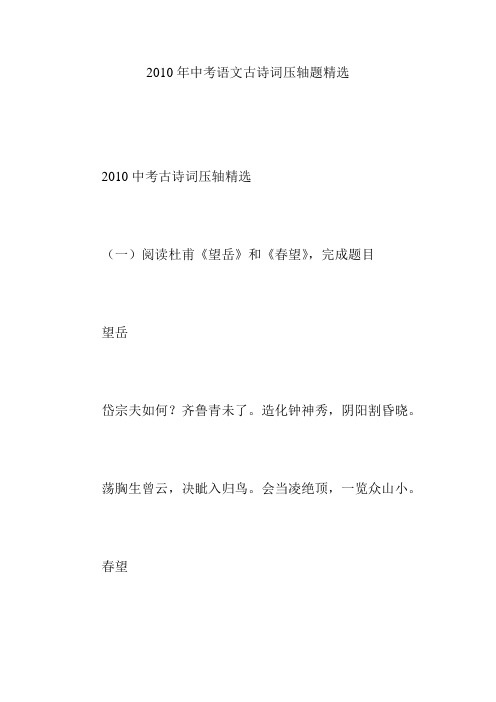 2010年中考语文古诗词压轴题精选