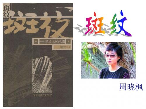 《斑纹》