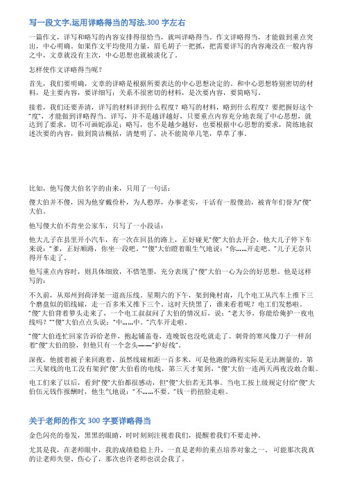 详略得当的范文300字