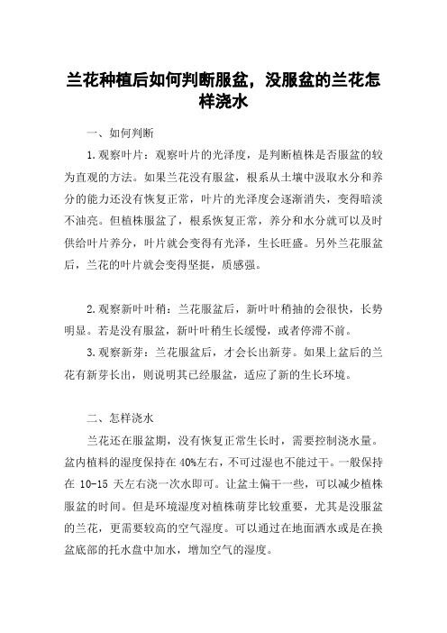 兰花种植后如何判断服盆,没服盆的兰花怎样浇水