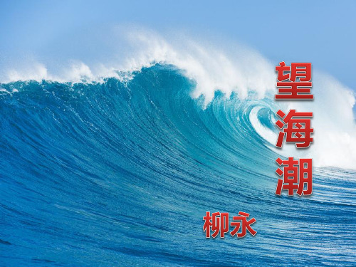 柳永词  《望海潮》优秀课件