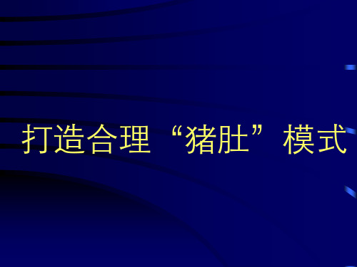 高考作文——合理打造猪肚模式ppt
