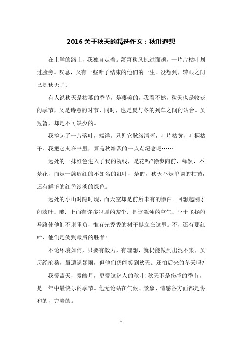 2016关于秋天的精选作文：秋叶遐想