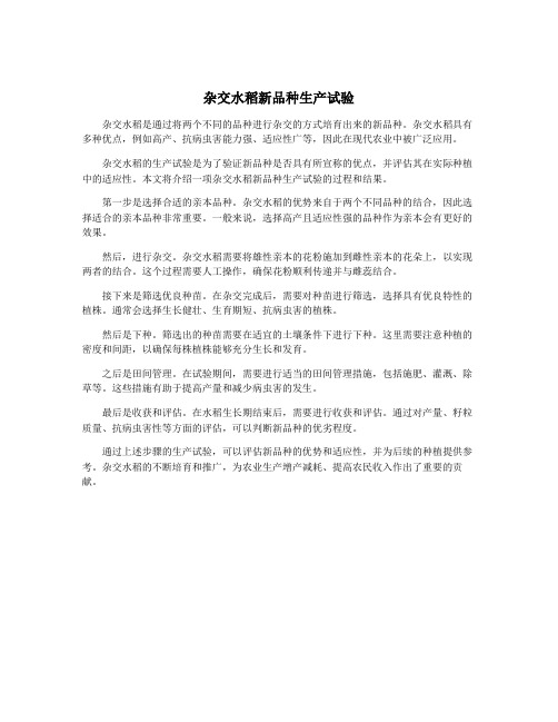 杂交水稻新品种生产试验