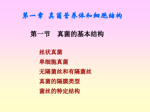 真菌结构