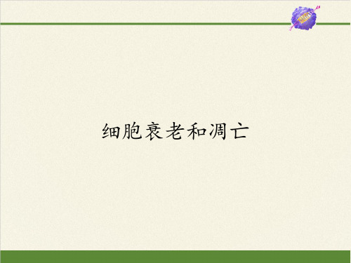高中生物必修一课件-5.2.3细胞衰老和凋亡1-苏教版