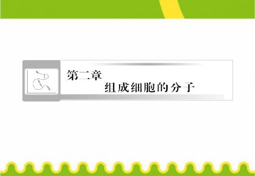 2.5细胞中的元素和化合物细胞中的无机物课件共49张PPT