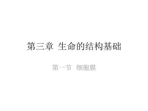 沪科版生物高一第一册-3.1 细胞膜 课件  
