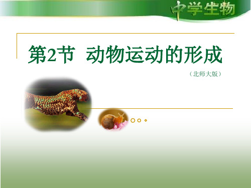 北师大版八上生物15.2《动物运动的形成》ppt课件(1)精选教学优质PPT课件