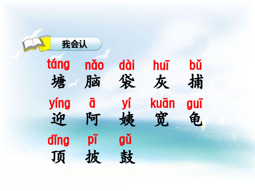1.小蝌蚪找妈妈(字词)
