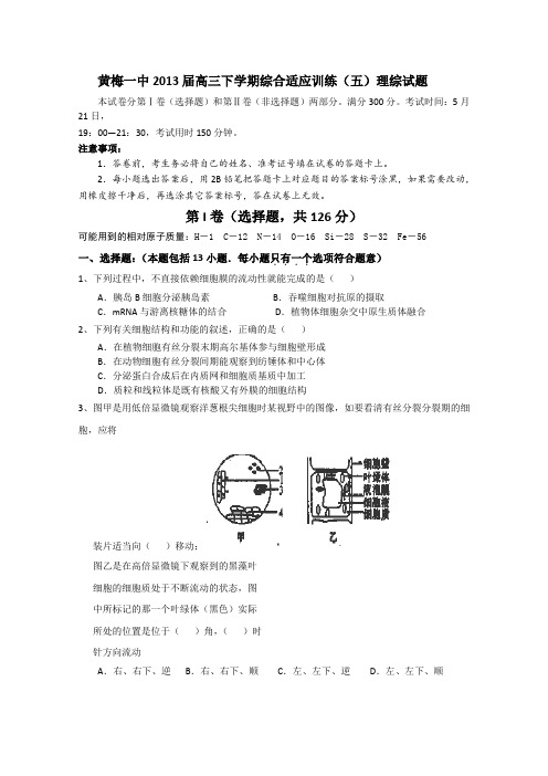 湖北省黄梅一中2013届高三下学期综合适应训练(五)理综试题Word版含答案
