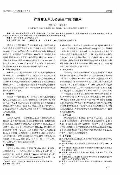 鲜食甜玉米无公害高产栽培技术