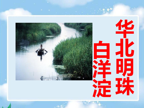 冀教版二年级语文下册《一单元  3 华北明珠白洋淀》课件_8