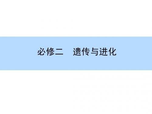 【师说】2015高考生物全程复习构想课件：2-4生物变异、育种和进化