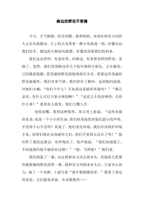 路边的野花不要摘