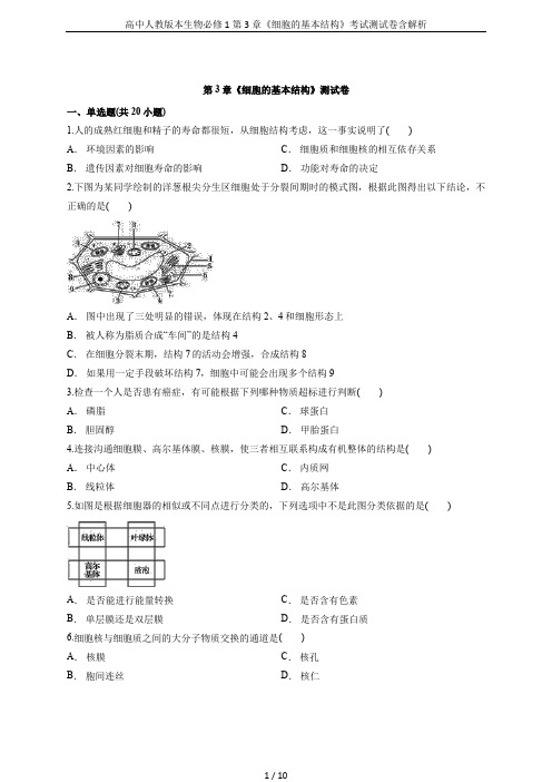 高中人教版本生物必修1第3章《细胞的基本结构》考试测试卷含解析