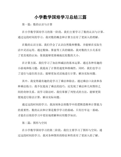 小学数学国培学习总结三篇