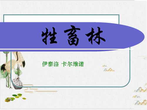 《牲畜林》(完整版)PPT