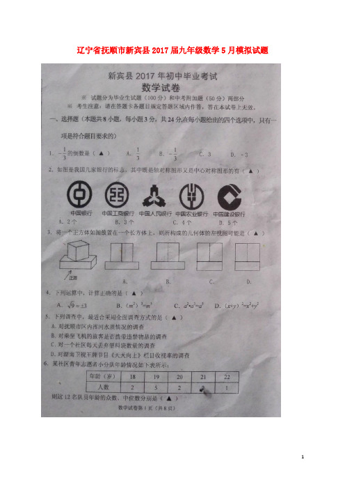 辽宁省抚顺市新宾县九年级数学5月模拟试题(扫描版)