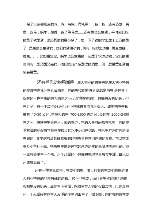 会下蛋的动物