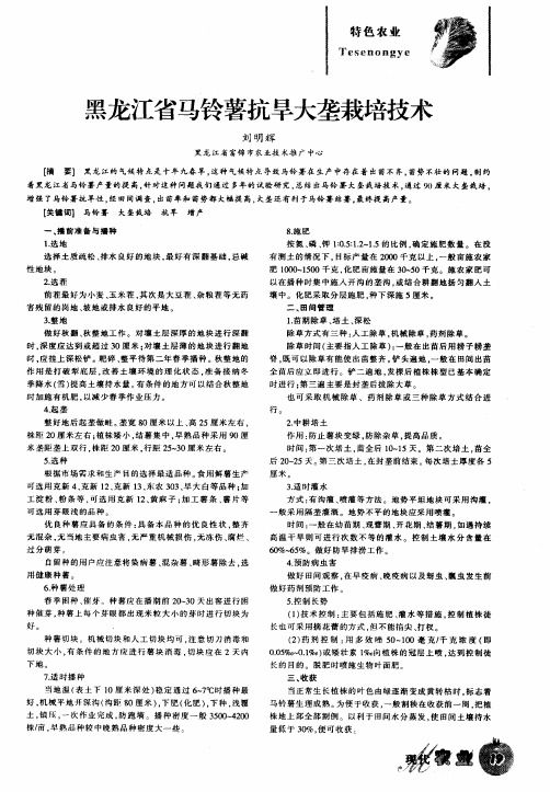 黑龙江省马铃薯抗旱大垄栽培技术