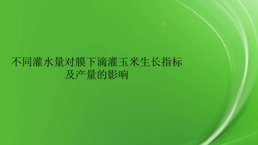 不同灌水量对膜下滴灌玉米生长指标及产量的影响