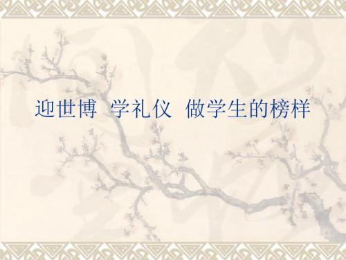 世博礼仪迎世博学礼仪做学生的榜样