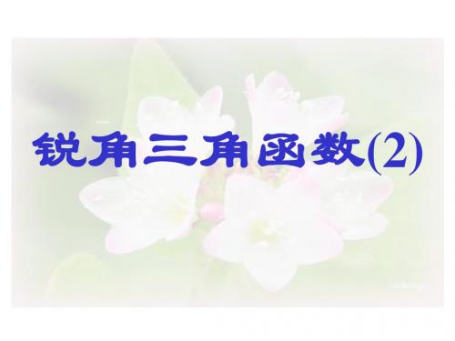 25.2 锐角三角函数 课件(华师大版九年级上册) (2)