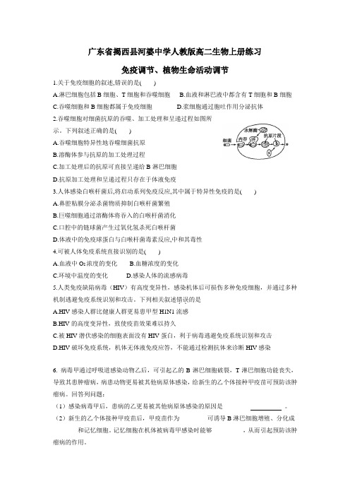 人教版高二生物上册练习：免疫调节、植物生命活动调节(附答案)