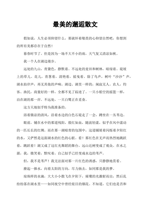 最美的邂逅散文