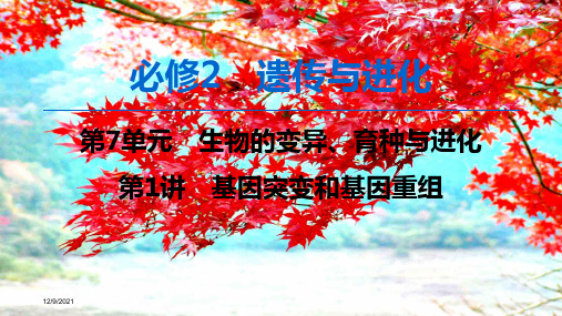 高考生物一轮复习第7单元第1讲基因突变和基因重组课件高三全册生物课件