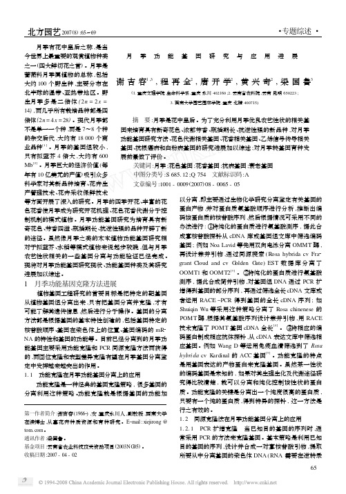 月季功能基因研究与应用进展